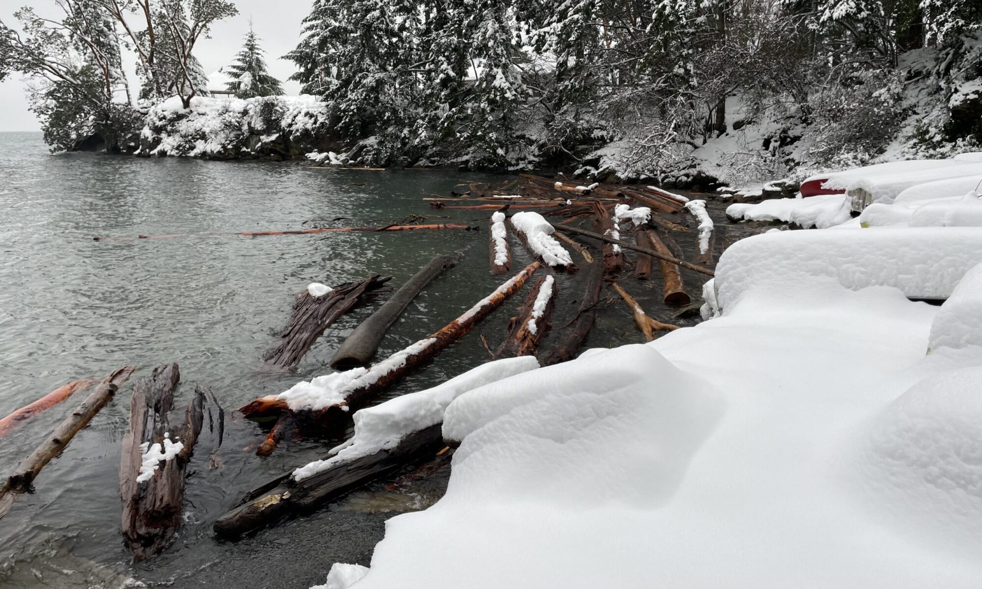 David Cove log jam in the winter
